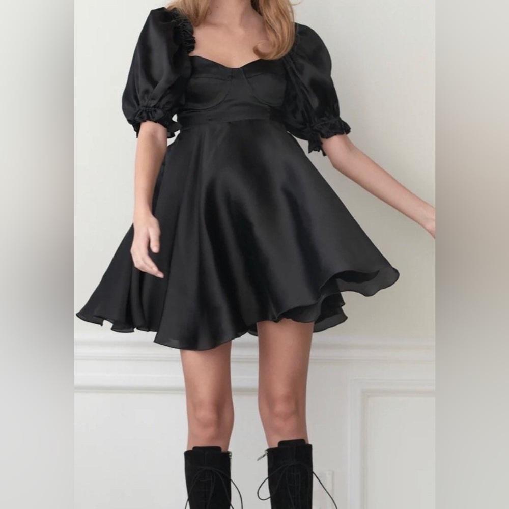SELKIE NWT black swan parliament dress